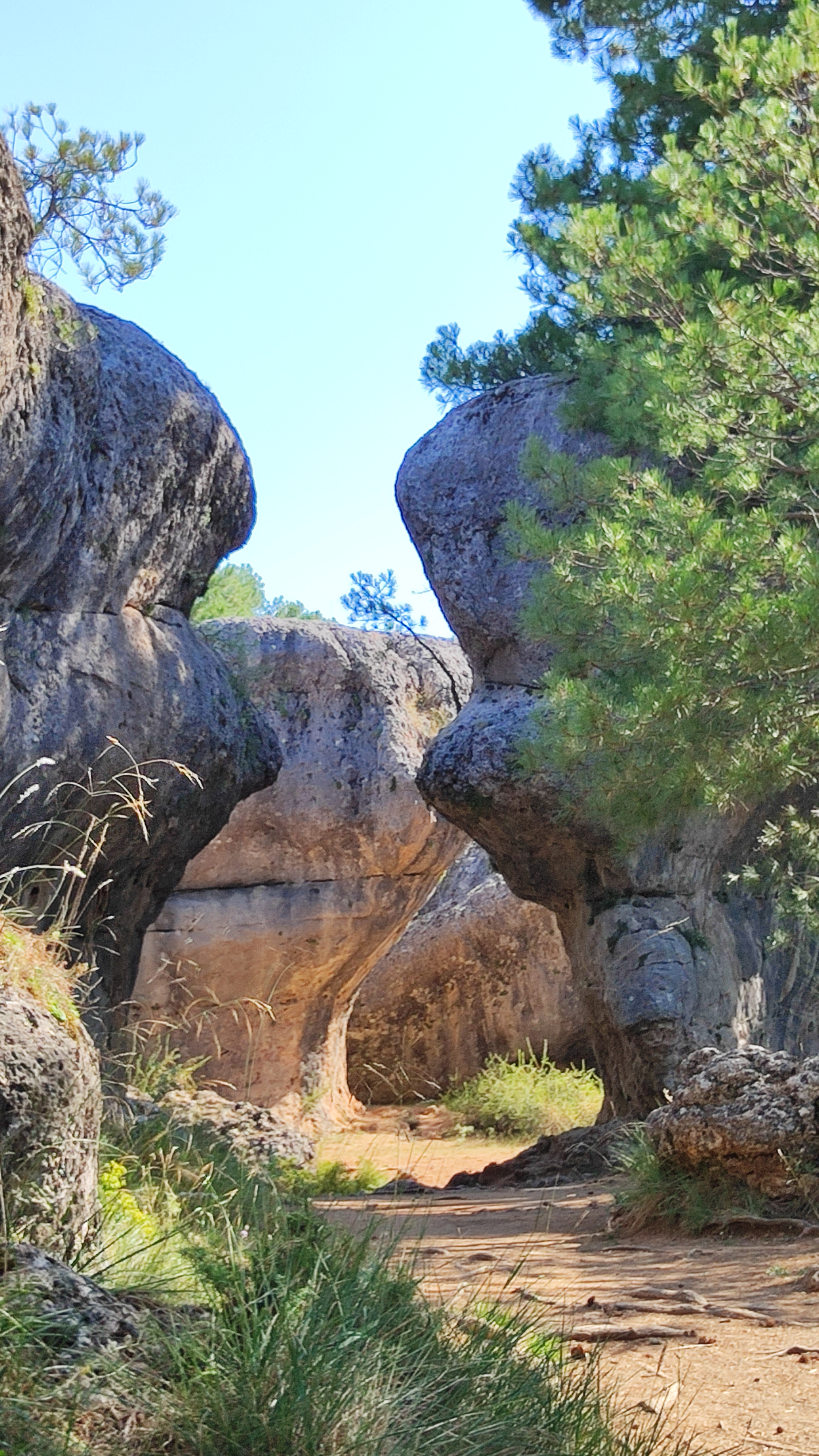 Real photograph of limestone formations and pine forests at Ciudad Encantada